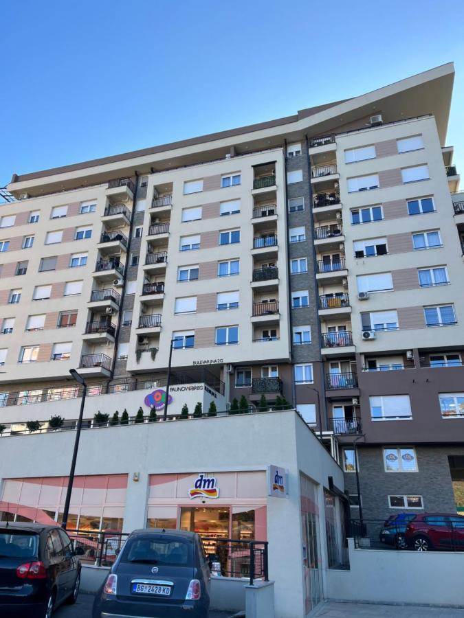 Apartament Paunov Breg Belgrad Zewnętrze zdjęcie